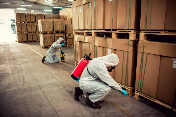 Best Bed Bug Extermination  in Stuarts Draft, VA