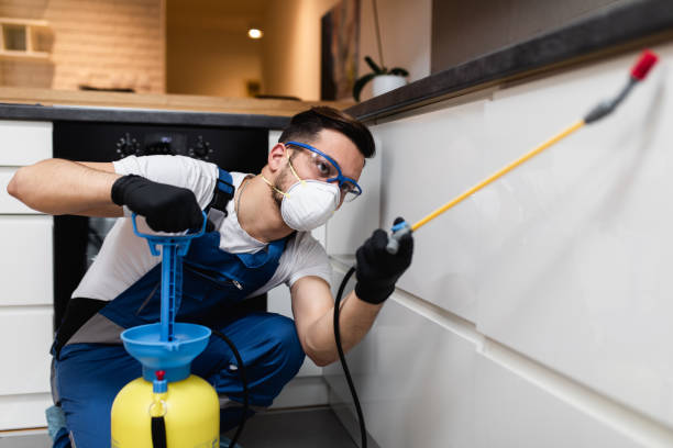 Best Mosquito Control Services  in Stuarts Draft, VA