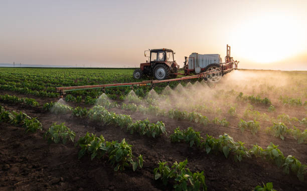 Best Best Pest Control Companies  in Stuarts Draft, VA