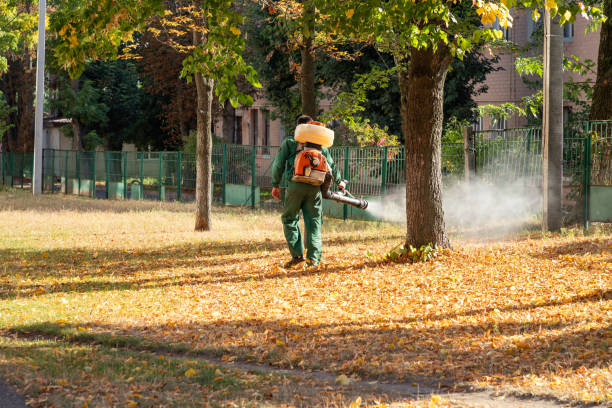 Best Affordable Pest Control Services  in Stuarts Draft, VA