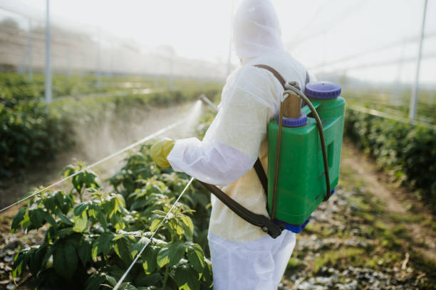 Best Wasp Removal Services  in Stuarts Draft, VA